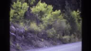 New Mexico USA (1973): Driving Down The Curved Two-Lane Road Surrounded By Nature