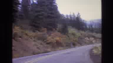 New Mexico USA (1973): A Car Traveling Down A Heavily Wooded Road Towards A