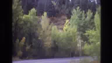 New Mexico USA (1973): On The Way To The Forest