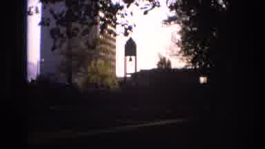 Salt Lake City Utah USA (1973): A Nice Windy Day Trees Are Blowing And The Sun Is
