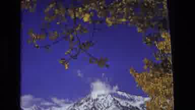 Salt Lake City Utah USA (1973): Picturesque View Of A Mountain Range From A Forest
