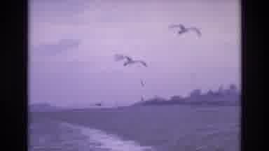 San Francisco California USA (1973): City Skyline From The Beach