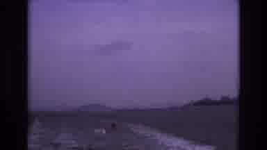 San Francisco California USA (1973): Seagulls Flutter Alone Above The Waters Waves