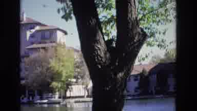 Colorado Springs Colorado USA (1974): A Squirrel In A Tree In Front Of A Hotel