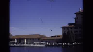 Colorado Springs Colorado USA (1974): Harbor Building Natural Trees