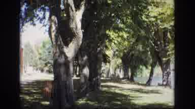 Colorado Springs Colorado USA (1974): Lots Of Trees A Building In The Background A
