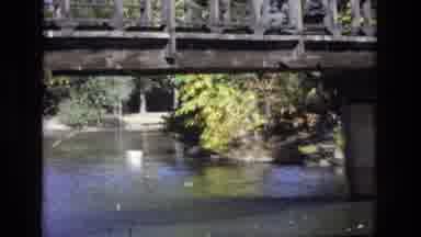 Colorado Springs Colorado USA (1974): Duck On The Sea