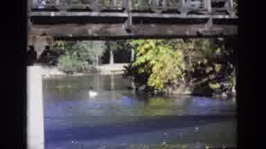Colorado Springs Colorado USA (1974): Duck Swims Under A Bridge