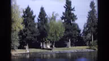 Colorado Springs Colorado USA (1974): View From Across A Pond With Pine Trees On A