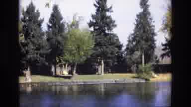 Colorado Springs Colorado USA (1974): Trees And A Bridge Along A Lake