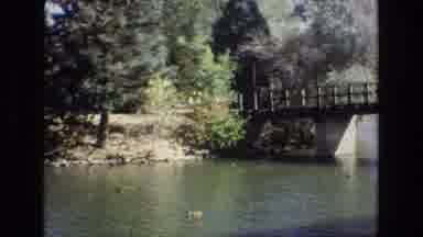 Colorado Springs Colorado USA (1974): Walking Through The Woods