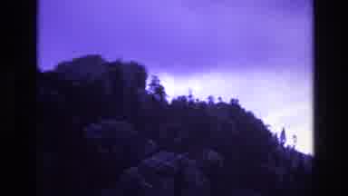 South Dakota USA (1974): Mother Nature Taking Course In The Woods