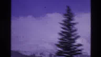 Vail Colorado USA (1974): Driving Through Pine Trees And Blue Sky On Mountain