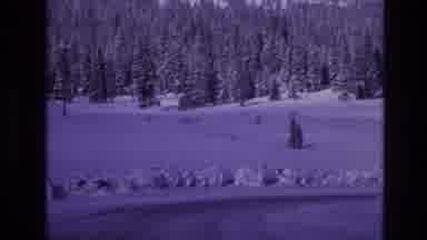 Vail Colorado USA (1974): Snow Clump Pine Trees Outside Road Valley