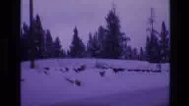 Vail Colorado USA (1974): Traveling A Snowy Country Road