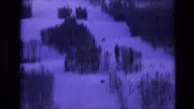 Vail Colorado USA (1974): Trees Snow Home