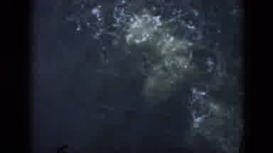 Cuba (1956): Person Diving Underwater Then Resurfacing