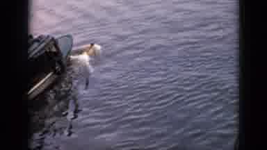 Cuba (1956): Boat On A Lake With People Riding It