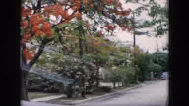 Cuba (1956): Lovely Walk Past Vintage Cars Enjoying Breeze Out On Beautiful Day