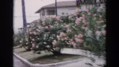 Cuba (1956): Driving Through A Neighborhood