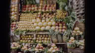 Cuba (1956): Man Climbing Tree To Get Fruit For His Stand