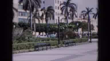 Cuba (1956): Street With Palm Trees Showing Cars Around And High Light Colored