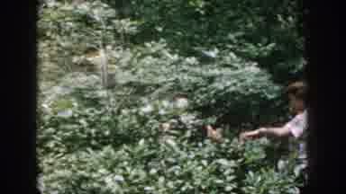 Dayton Ohio USA (1958): People Hiking Sunny Windy Day Woods Trail