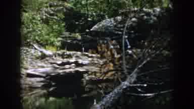 Dayton Ohio USA (1958): People Hiking In A Deep Wooden Wilderness