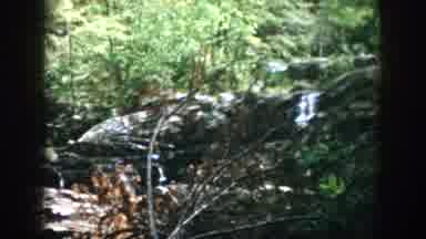 Dayton Ohio USA (1958): Beautiful Waterfall Found In Dense Forest