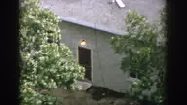 Dayton Ohio USA (1958): Nature House Trees Country Suburb Light Entrance Window