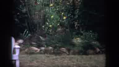 Dayton Ohio USA (1958): Chairs In The Backyard