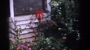 Dayton Ohio USA (1958): Art Culture Cinematic Video With Fishhouse Green Garden