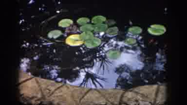 Dayton Ohio USA (1958): Couple Going On A Beautiful Date Out In The Park With An