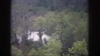 Dayton Ohio USA (1958): Forest Trees From Above