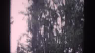 Dayton Ohio USA (1958): A Calm River Surrounded By Woods