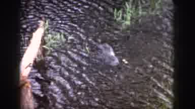 Dayton Ohio USA (1958): Old Video Of Someone Videotaping Something In The Water