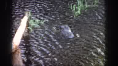 Dayton Ohio USA (1958): Family Holidays With Nature