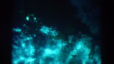 New Orleans Louisiana USA (1958): Underwater Adventure Vacation Travel