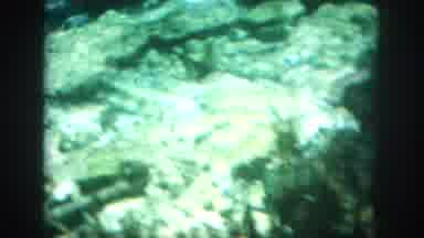 New Orleans Louisiana USA (1958): Water Boat Swimming Snorkeling Scuba Diving
