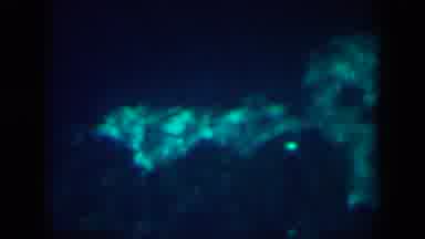 New Orleans Louisiana USA (1958): Light Refracting Underwater