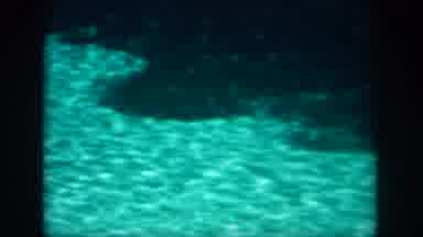 New Orleans Louisiana USA (1958): Boat And View Of Underwater
