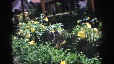 New Orleans Louisiana USA (1958): Traveling Along The Coast In A Car Stopping For