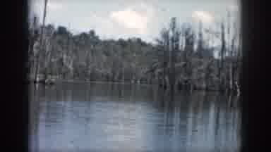 New Orleans Louisiana USA (1958): Tour Of Swamp