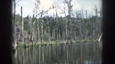 New Orleans Louisiana USA (1958): A Very Spooky "Deliverance" Boat Ride On A Lake