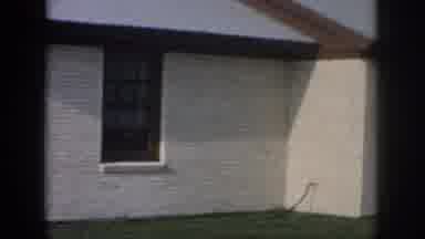 New Orleans Louisiana USA (1958): The Beautiful White Brick That Covers The House