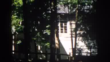Virginia USA (1958): Backyard View Of House Through The Trees