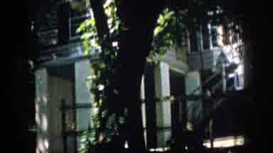 Virginia USA (1958): House With A Tire Swing