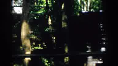 Virginia USA (1958): View Of Stairs And Pillars Leading Up With Tropical