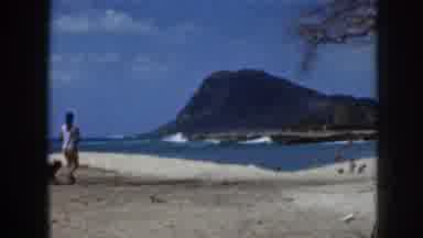 Hawaii USA (1959): Island Beach Dog Walk
