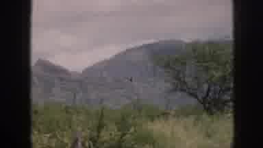 Hawaii USA (1959): Overview Of Mountains